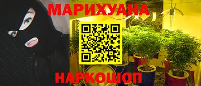 прущие грибы Кинель