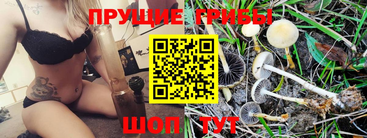 Кохма  Псилоцибиновые грибы ЛСД  Вход с VPN  Псилоцибиновые грибы мицелий 