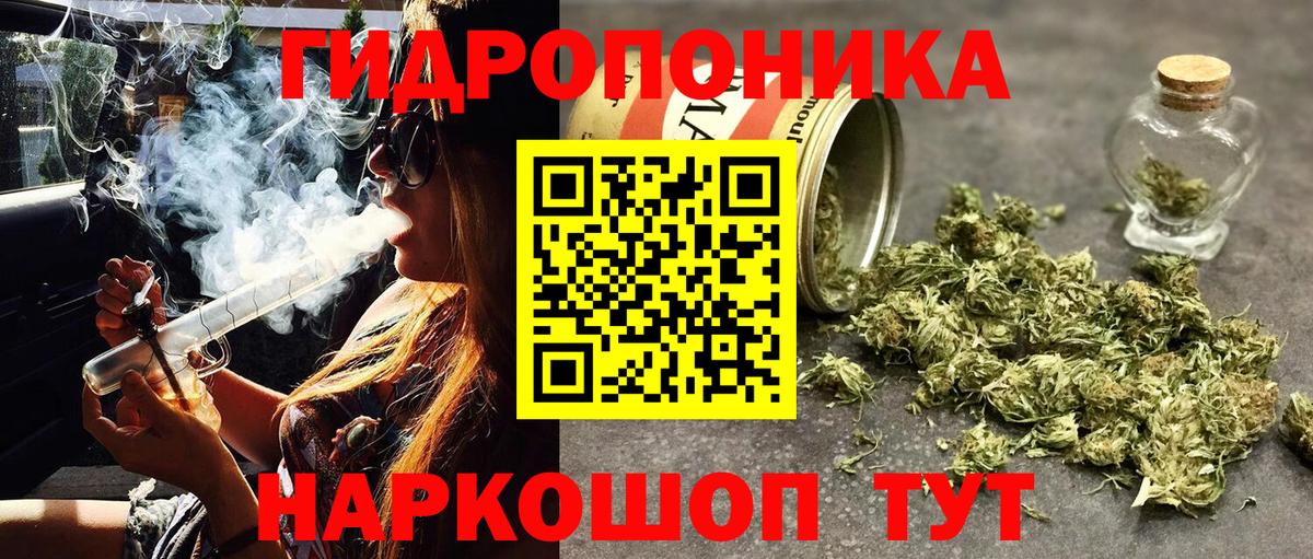 Кохма  Бошки Шишки гибрид  Канабис план  Вход с VPN  Марихуана тримм 